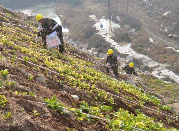 湖北完成礦山生態(tài)修復(fù)5萬畝，隨縣石材礦山復(fù)綠9010畝，礦山盼復(fù)工！