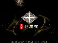 米易庭軍豹皮花石材產(chǎn)品畫冊(cè)